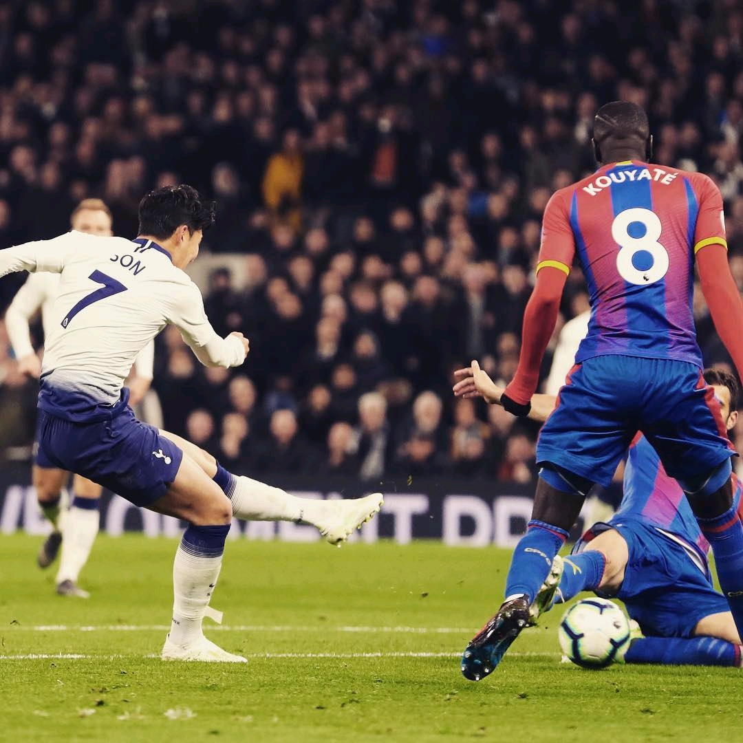 迷的忠誠度 迷的忠誠度